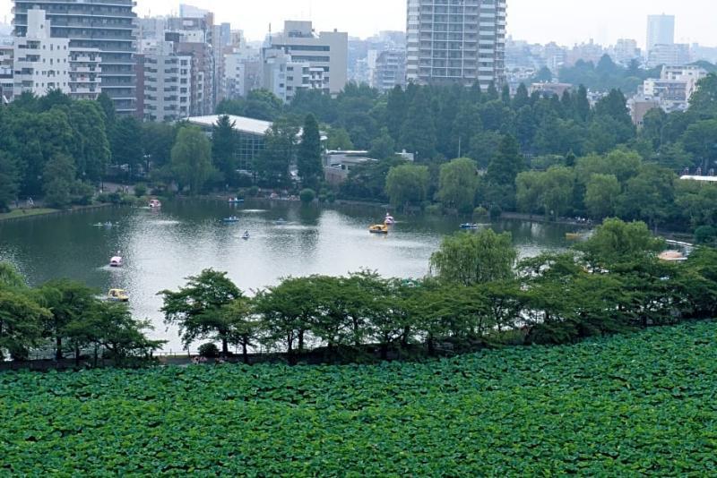 Hotel Coco Grand Ueno Shinobazu Tokyo Dış mekan fotoğraf